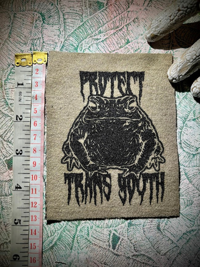 Protect trans youth with a big chonky toad