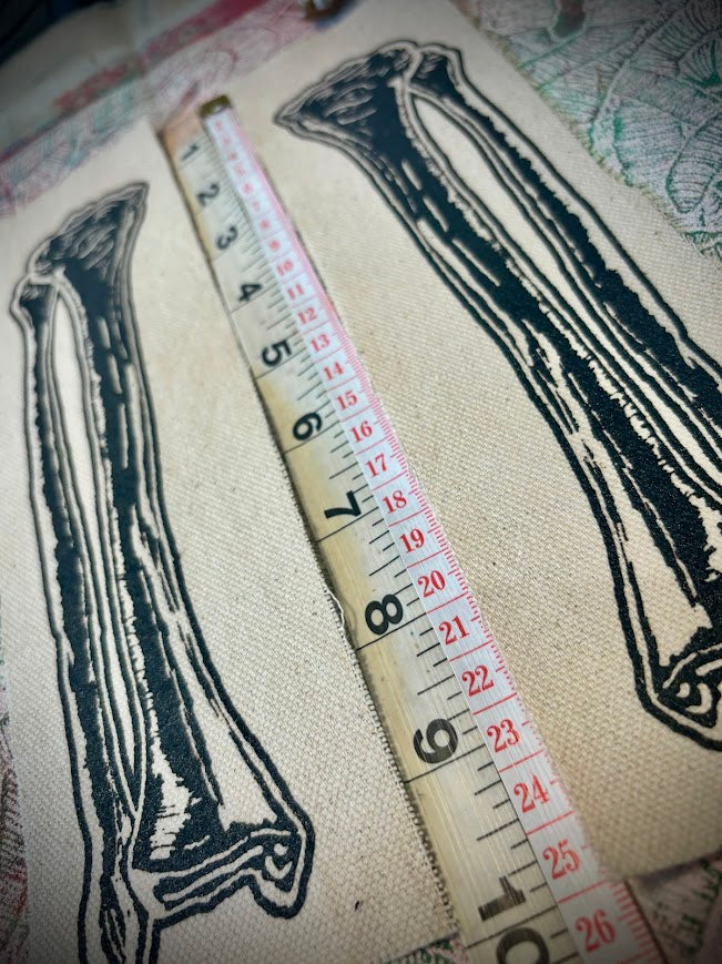 Tibia-Fibula, Tibula leg bone patch