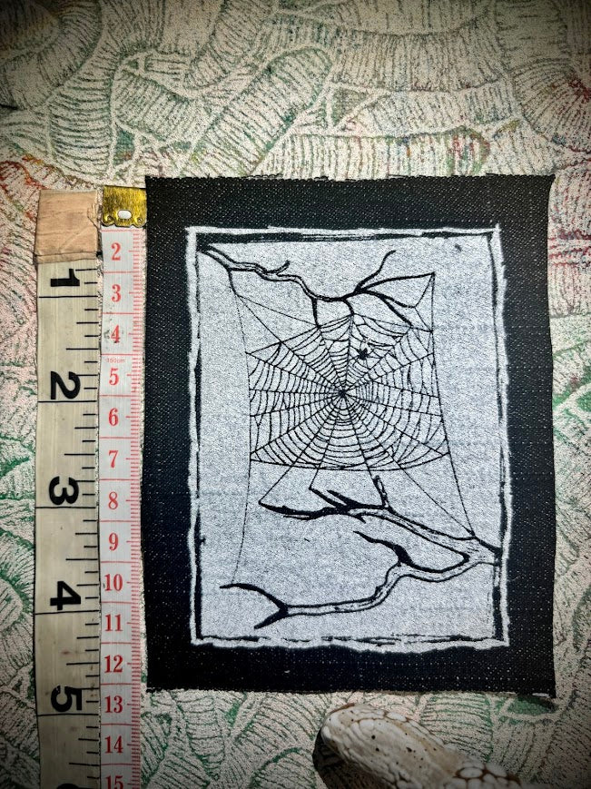Spider web, stung up between two dead branches sew on patch