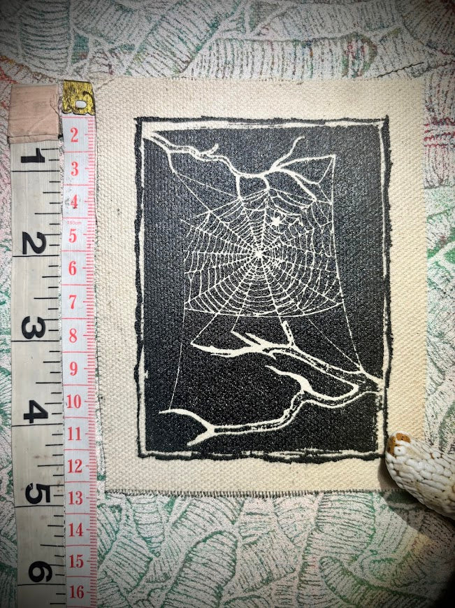 Spider web, stung up between two dead branches sew on patch