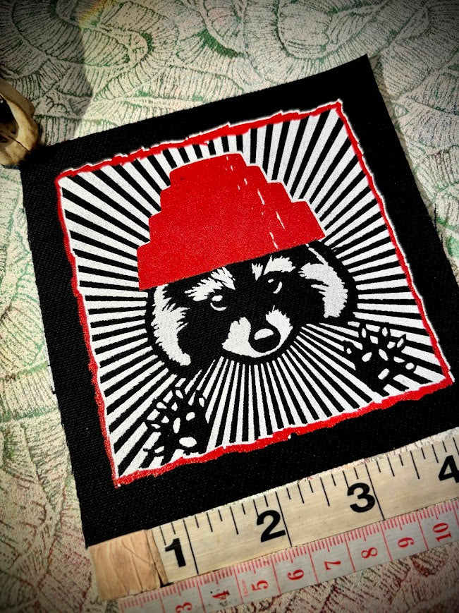 Are We not Trashy? Raccoon with a Devo hat patch.