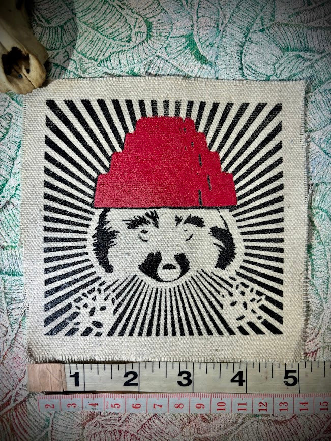 Are We not Trashy? Raccoon with a Devo hat patch