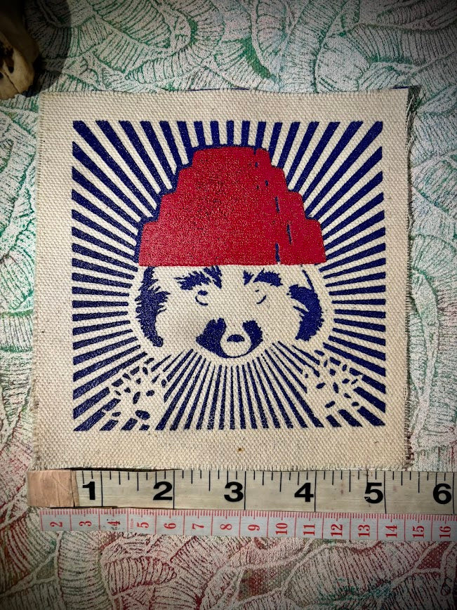 Are We not Trashy? Raccoon with a Devo hat patch