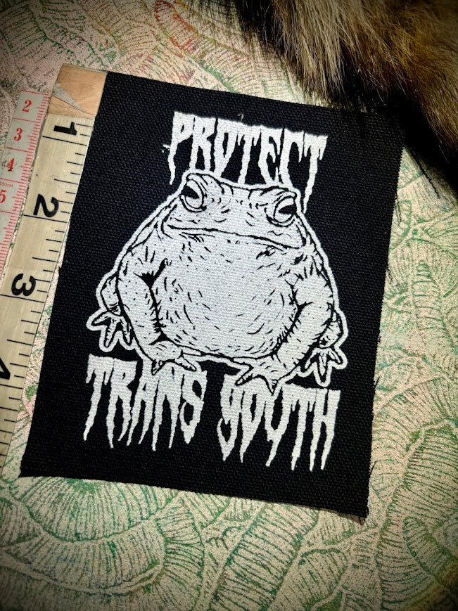 Protect trans youth patch.
