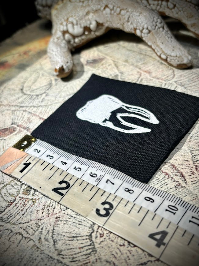 loose tooth patch. a mini patch.