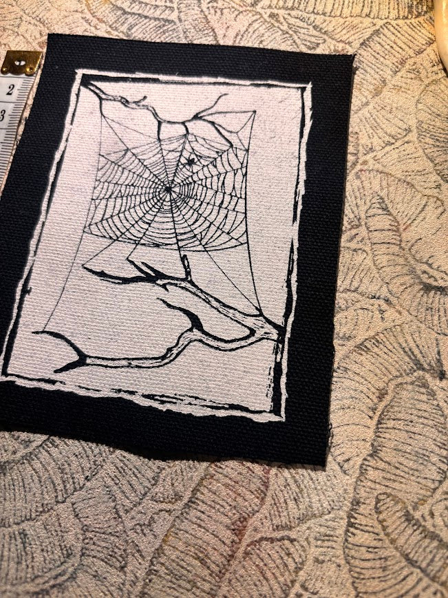 Spider web, between two dead branches patch.