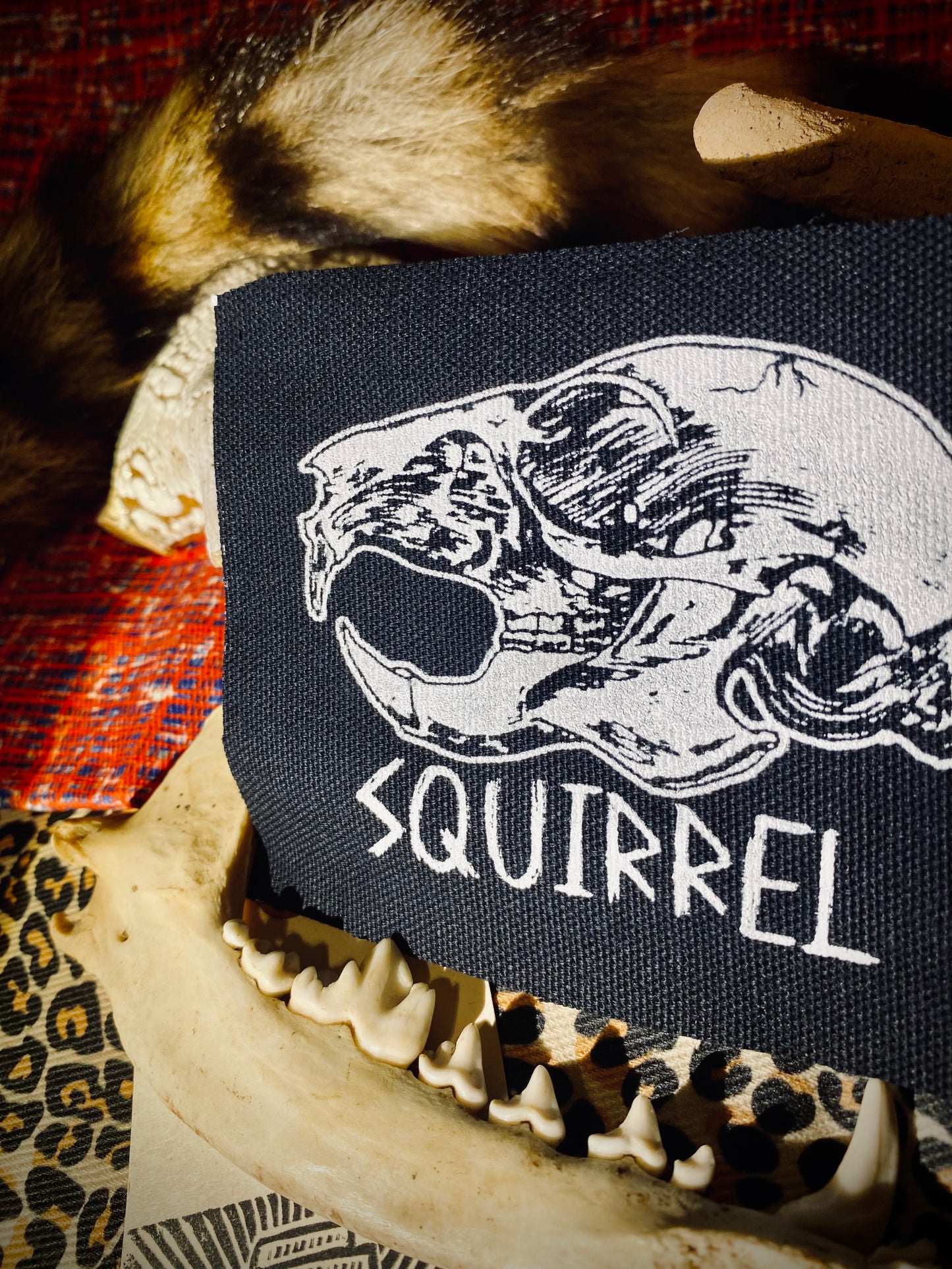 Squirrel skull sew on patch