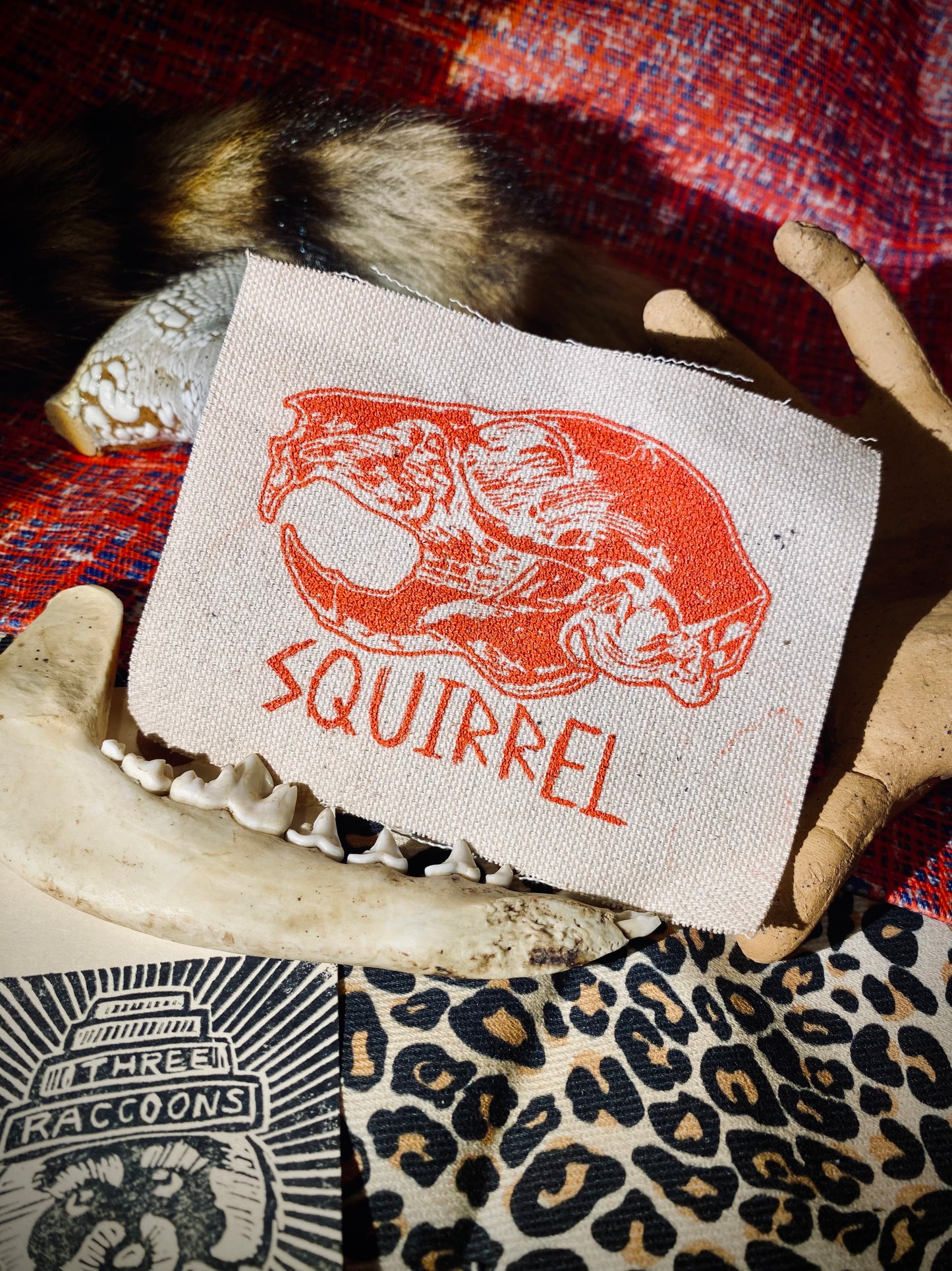 Squirrel skull sew on patch