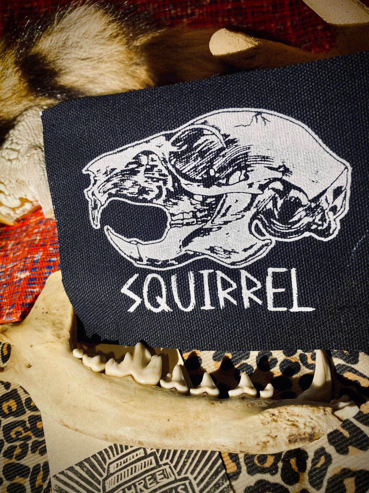 Squirrel skull sew on patch