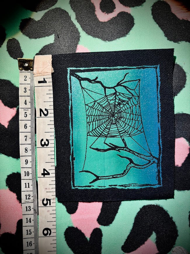 Spider web, stung up between two dead branches sew on patch