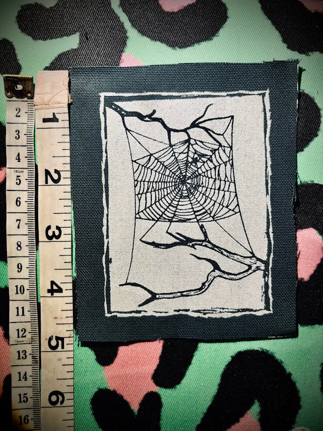 Spider web, stung up between two dead branches sew on patch