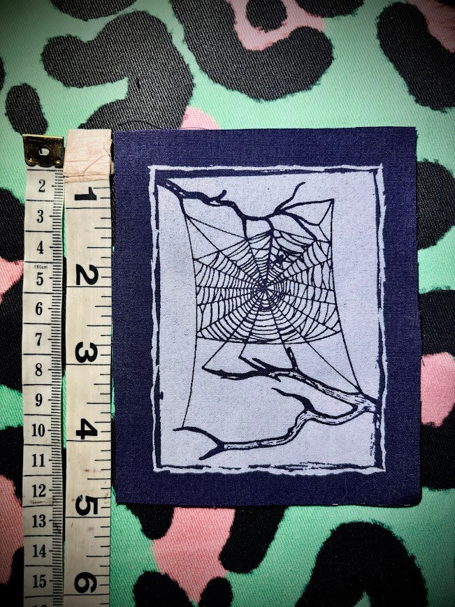 Spider web, stung up between two dead branches sew on patch