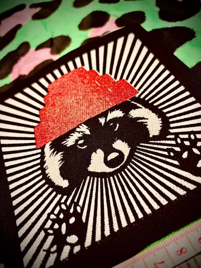 Are We not Trashy? Raccoon with a Devo hat patch