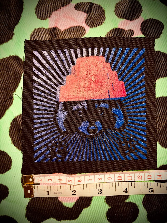 Are We not Trashy? Raccoon with a Devo hat patch