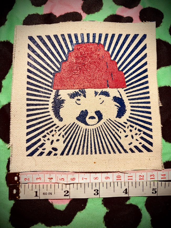 Are We not Trashy? Raccoon with a Devo hat patch