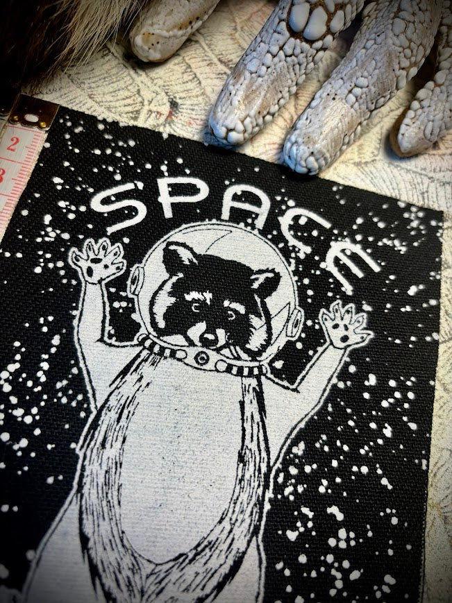 Space Chonk, Raccoon space traveler patch