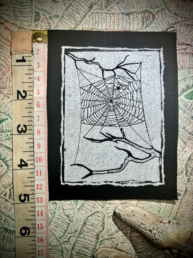 Spider web, stung up between two dead branches sew on patch