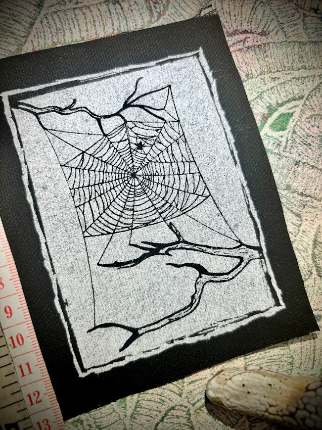 Spider web, stung up between two dead branches sew on patch