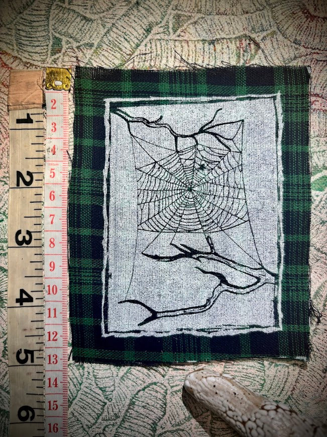 Spider web, stung up between two dead branches sew on patch