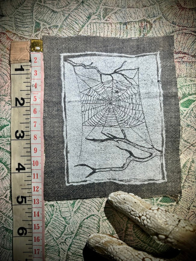 Spider web, stung up between two dead branches sew on patch
