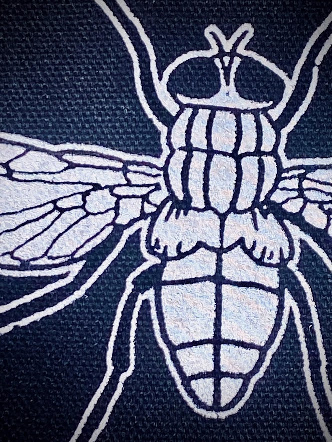 It's a Bug! It's a Fly!  sew on patch