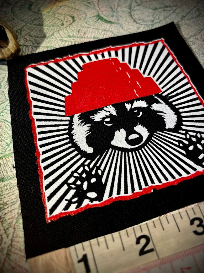 Are We not Trashy? Raccoon with a Devo hat patch