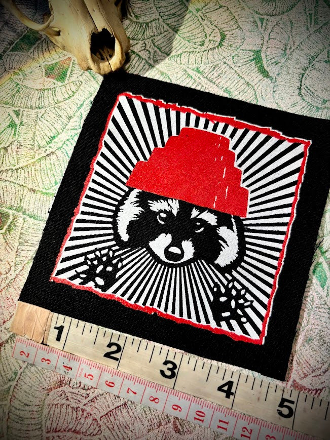 Are We not Trashy? Raccoon with a Devo hat patch