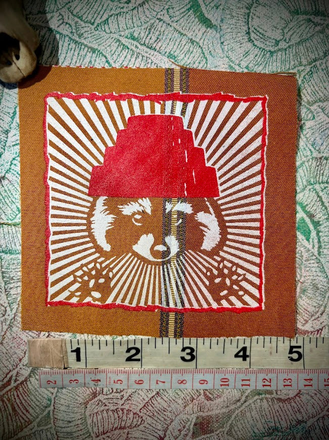Are We not Trashy? Raccoon with a Devo hat patch