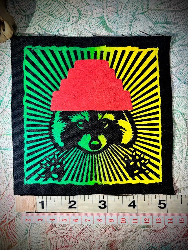 Are We not Trashy? Raccoon with a Devo hat patch