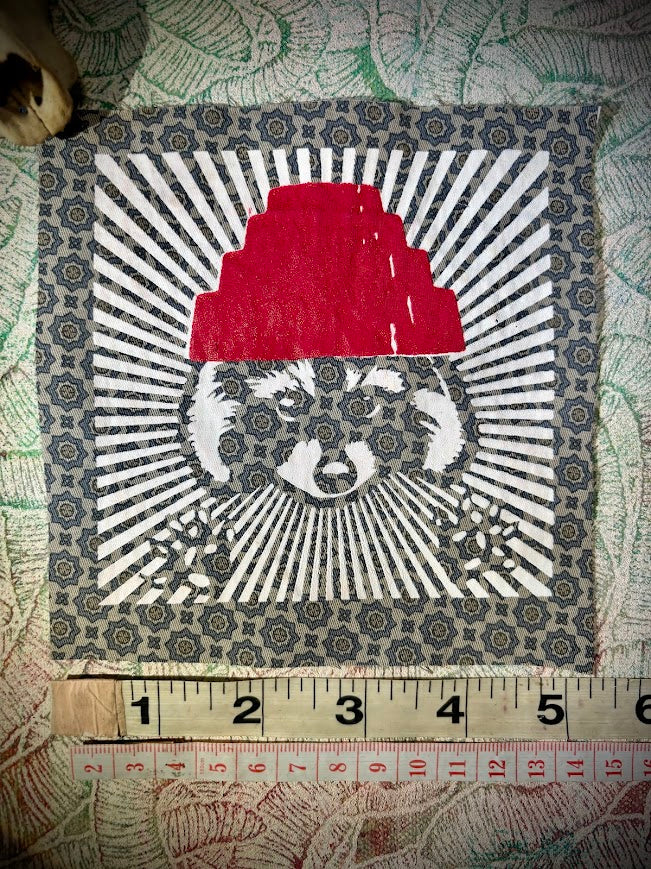 Are We not Trashy? Raccoon with a Devo hat patch