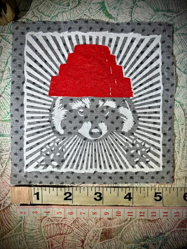 Are We not Trashy? Raccoon with a Devo hat patch