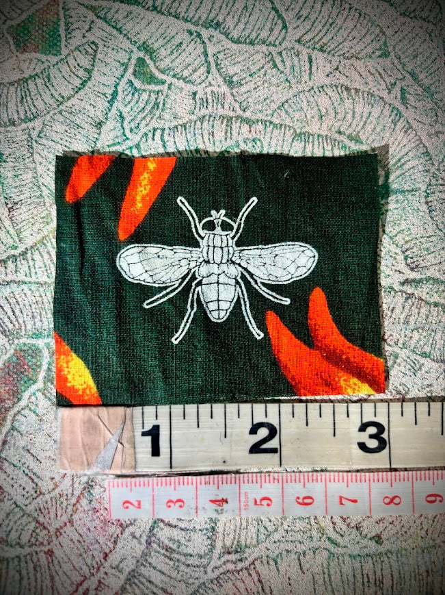 It's a Bug! It's a Fly!  sew on patch