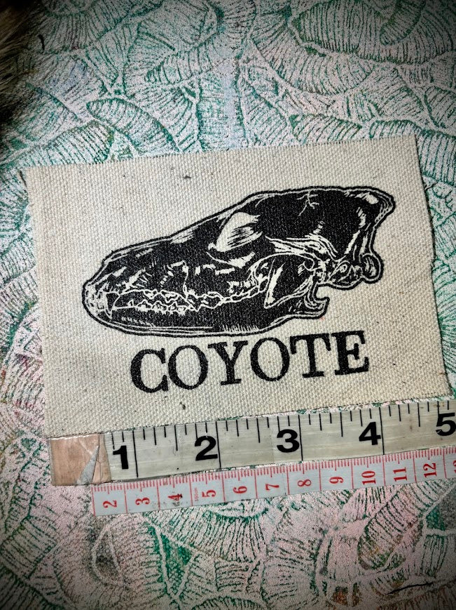 Coyote Skull sew on patch