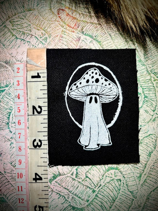 Tiny ghost mushroom patch
