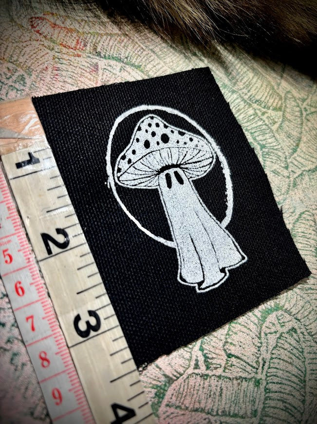 Tiny ghost mushroom patch