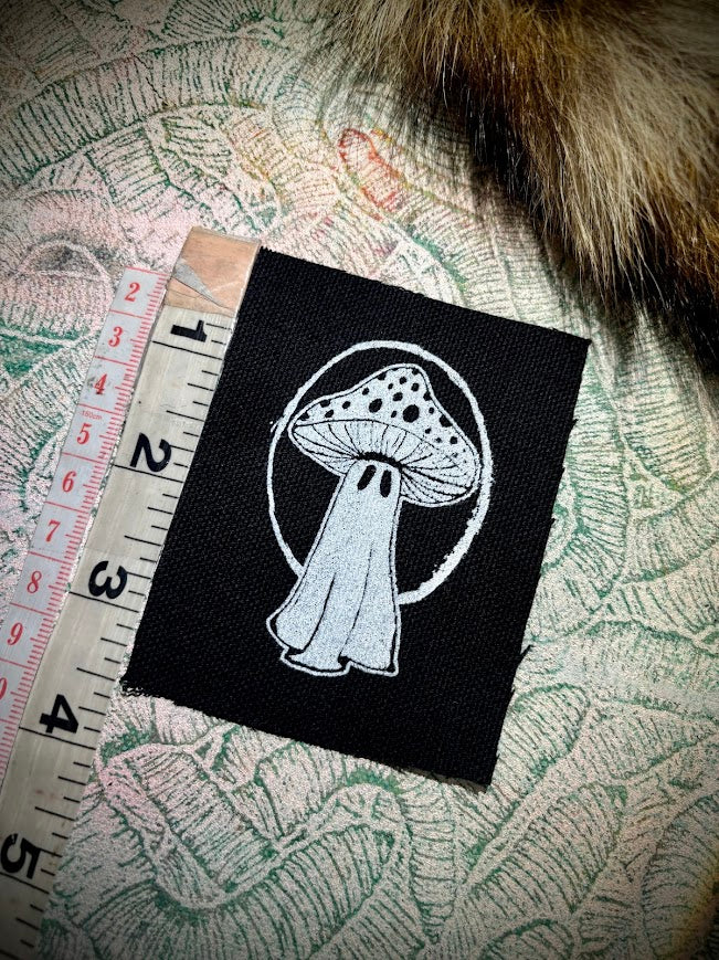 Tiny ghost mushroom patch