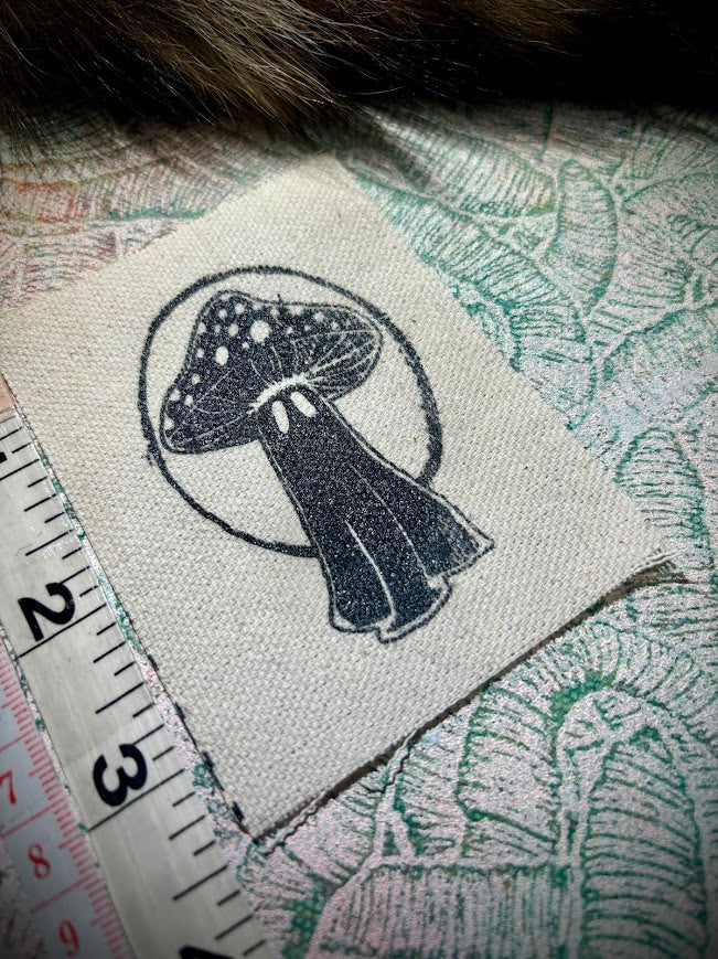 Tiny ghost mushroom patch