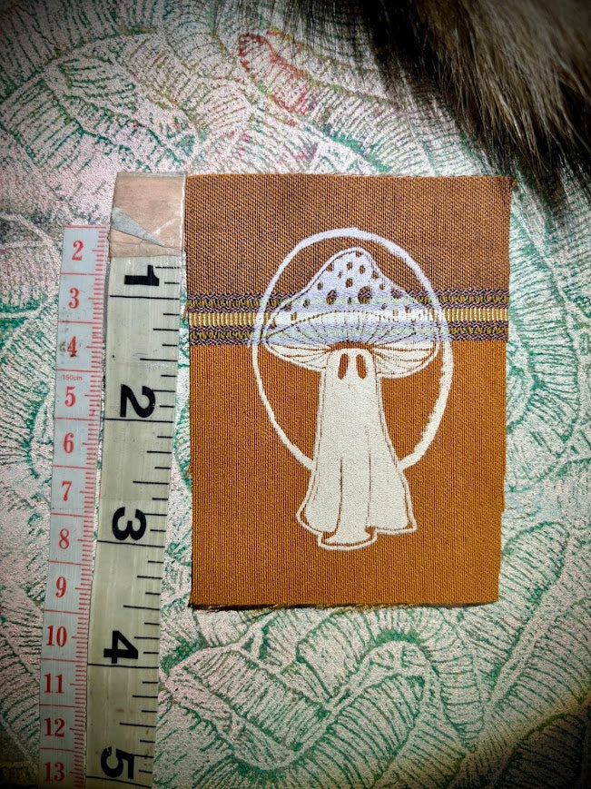 Tiny ghost mushroom patch