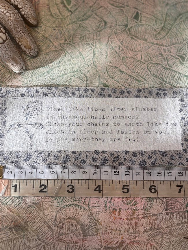 The Masque of Anarchy poem patch