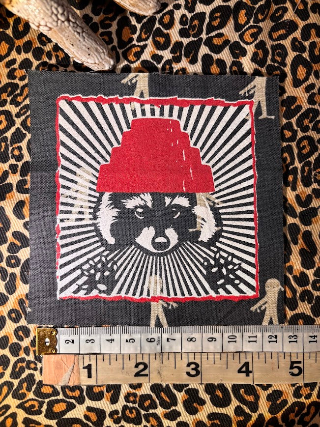 Are We not Trashy? Raccoon with a Devo hat patch