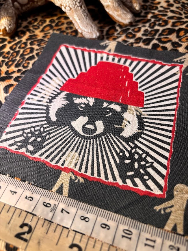 Are We not Trashy? Raccoon with a Devo hat patch