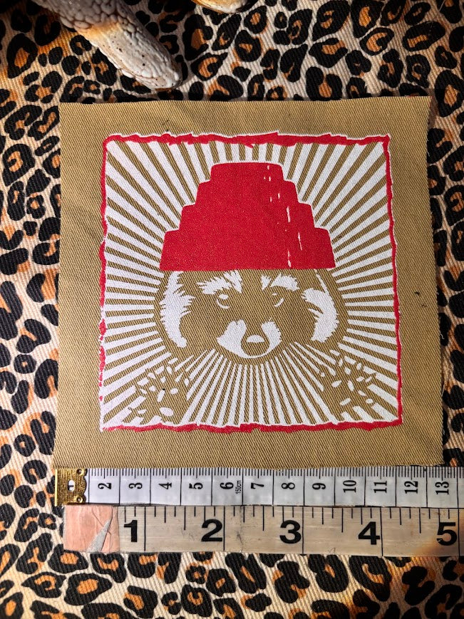 Are We not Trashy? Raccoon with a Devo hat patch