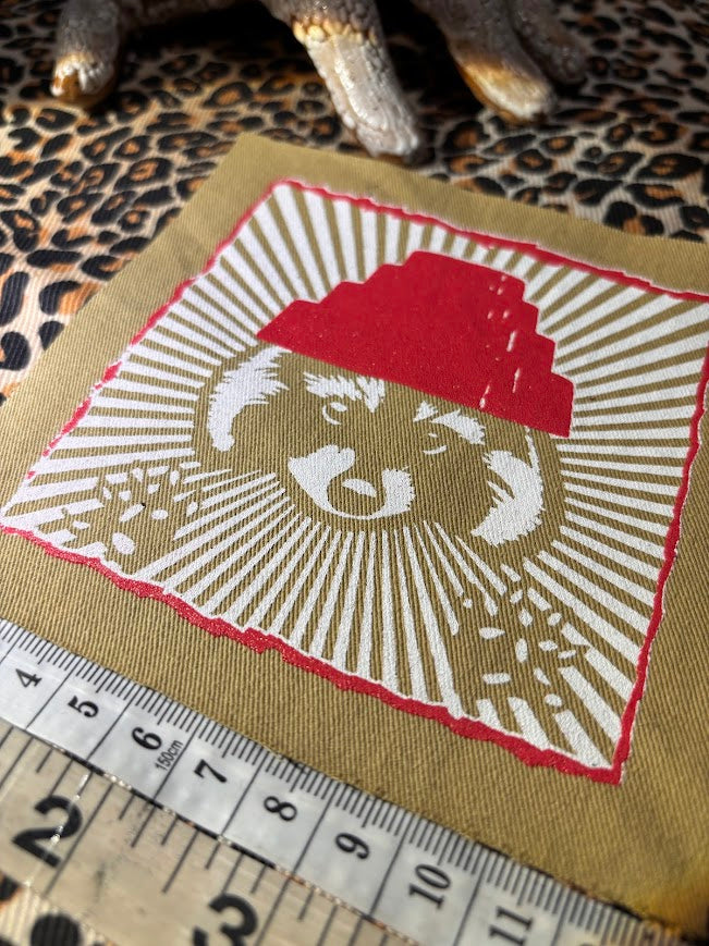 Are We not Trashy? Raccoon with a Devo hat patch