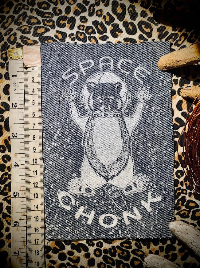 Space Chonk, Raccoon space traveler patch