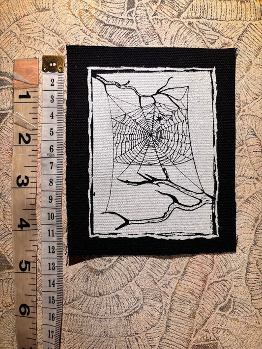 Spider web, between two dead branches patch.