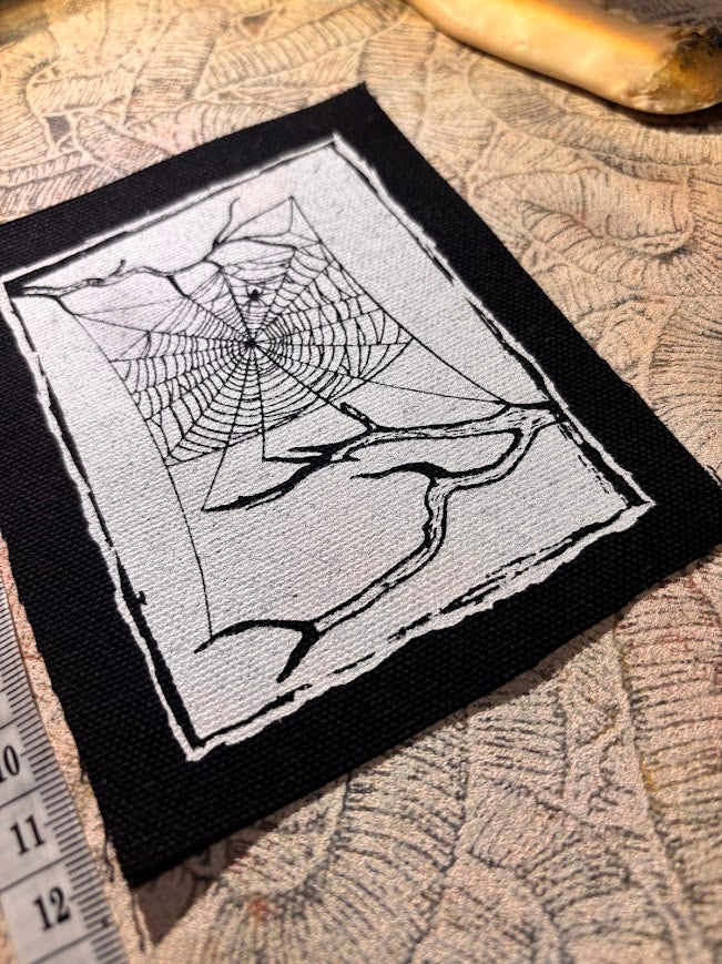 Spider web, stung up between two dead branches sew on patch