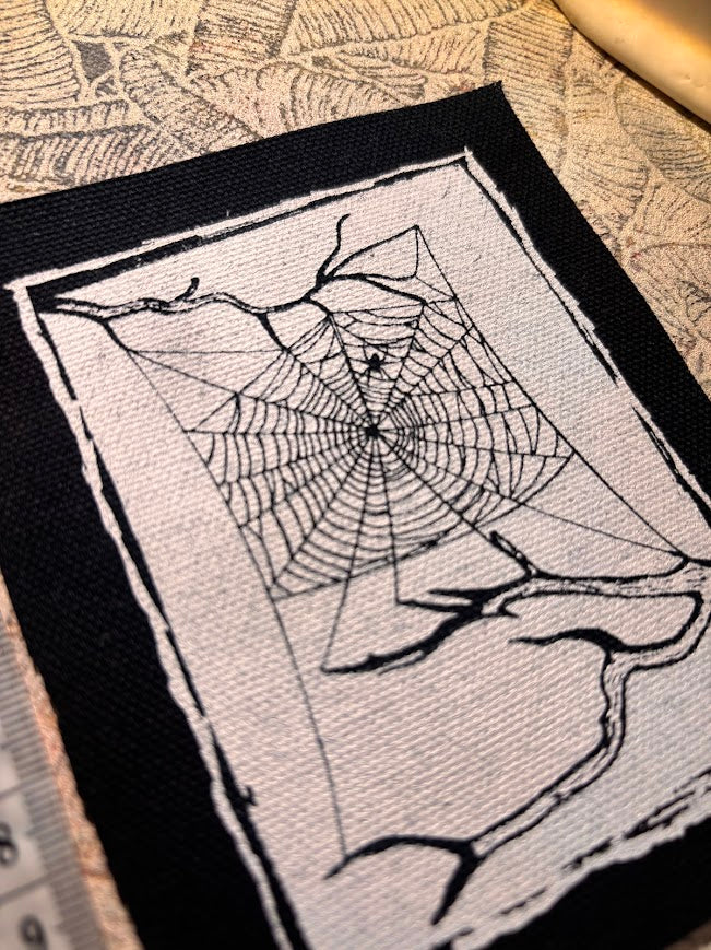 Spider web, between two dead branches patch.
