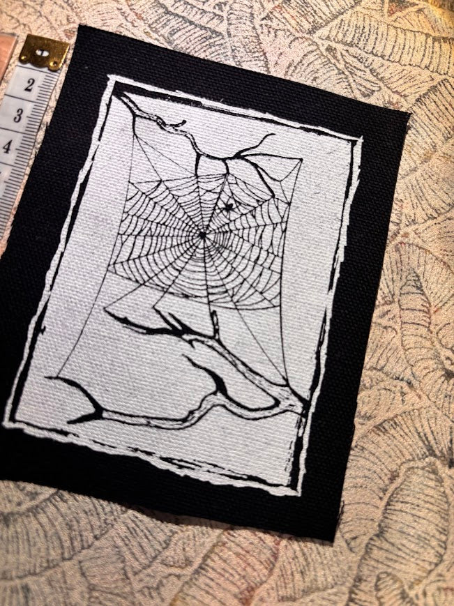 Spider web, stung up between two dead branches sew on patch