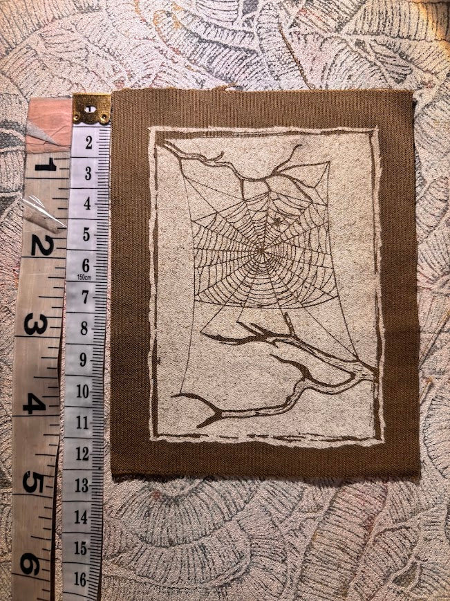 Spider web, stung up between two dead branches sew on patch