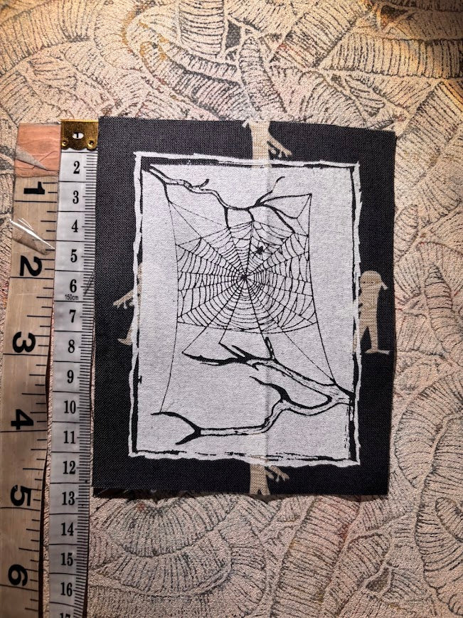 Spider web, stung up between two dead branches sew on patch